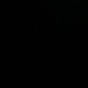 Meet your Posher, Caleb